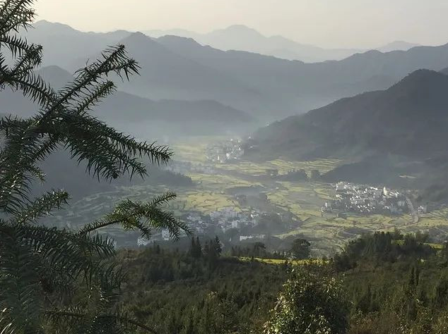 码住！清明节国内这撩人的春色圣地，哪款是你的心头爱？