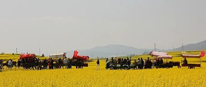 码住！清明节国内这撩人的春色圣地，哪款是你的心头爱？
