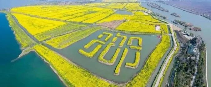 码住！清明节国内这撩人的春色圣地，哪款是你的心头爱？