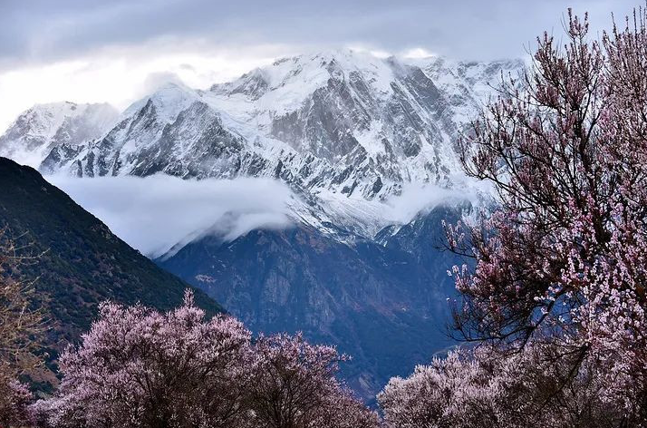 码住！清明节国内这撩人的春色圣地，哪款是你的心头爱？