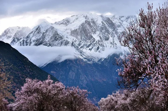 码住！清明节国内这撩人的春色圣地呀，哪款是你的心头爱？