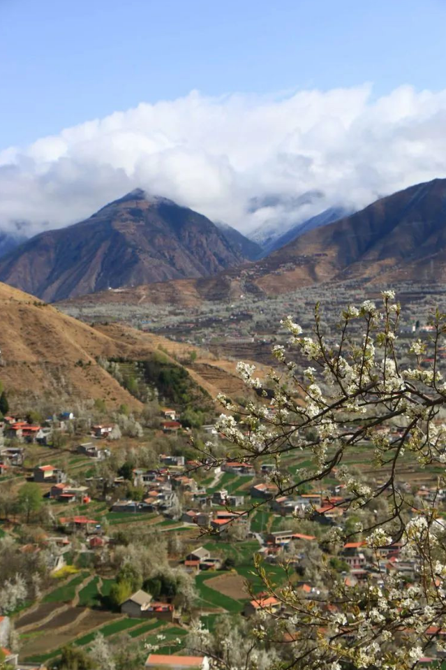 码住！清明节国内这撩人的春色圣地，哪款是你的心头爱？