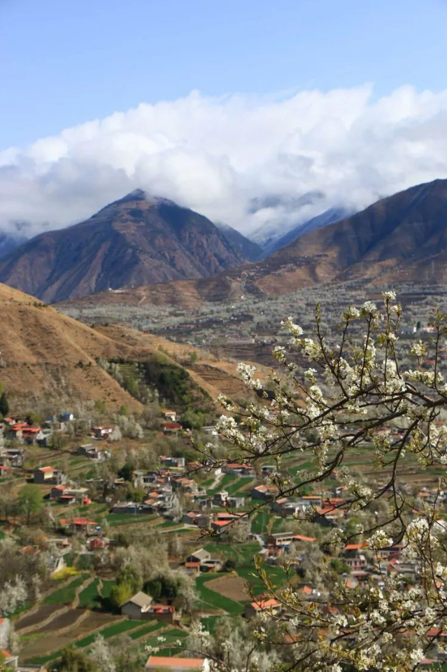 码住！清明节国内这撩人的春色圣地，呢哪款是你的心头爱？