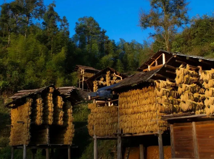 黔东南州一地入选！文化和旅游部公示最新全国乡村旅游重点村镇（乡）名单