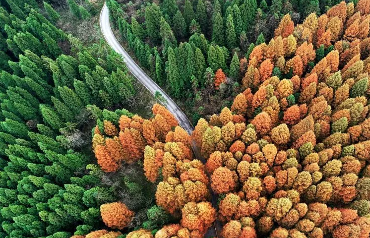 免费屏保来了 看这个国家森林公园如调色板般的秋色