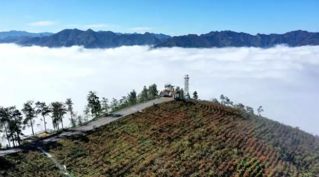 湖北保康县出现云海景观