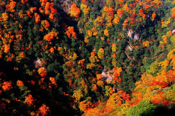 2022光雾山红叶节自驾游路线攻略