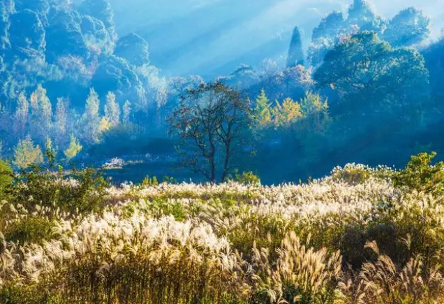 金秋新县美如仙境 金秋新县美如仙境