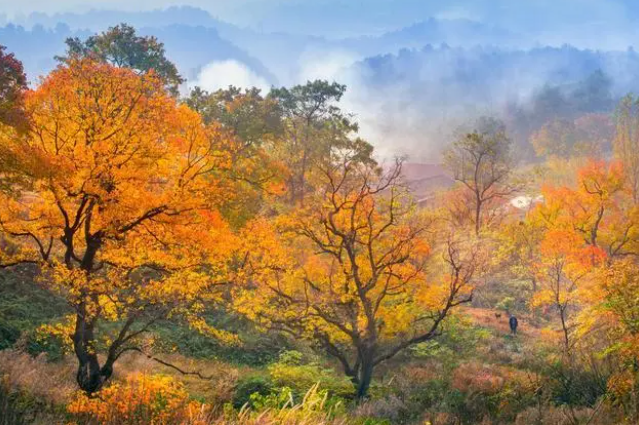 金秋新县美如仙境 金秋新县美如仙境