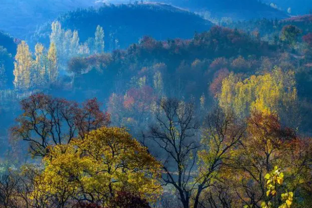 金秋新县美如仙境 金秋新县美如仙境