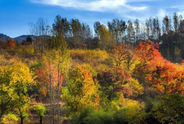 金秋新县美如仙境 金秋新县美如仙境