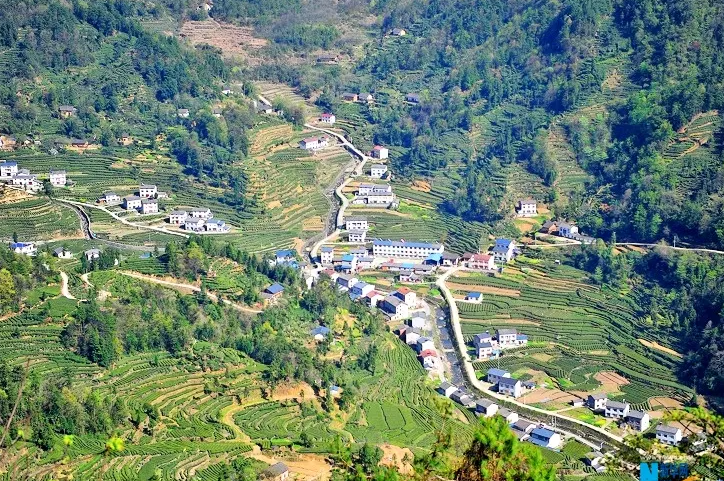 湖北宜昌许家冲：移民村变身“幸福村”