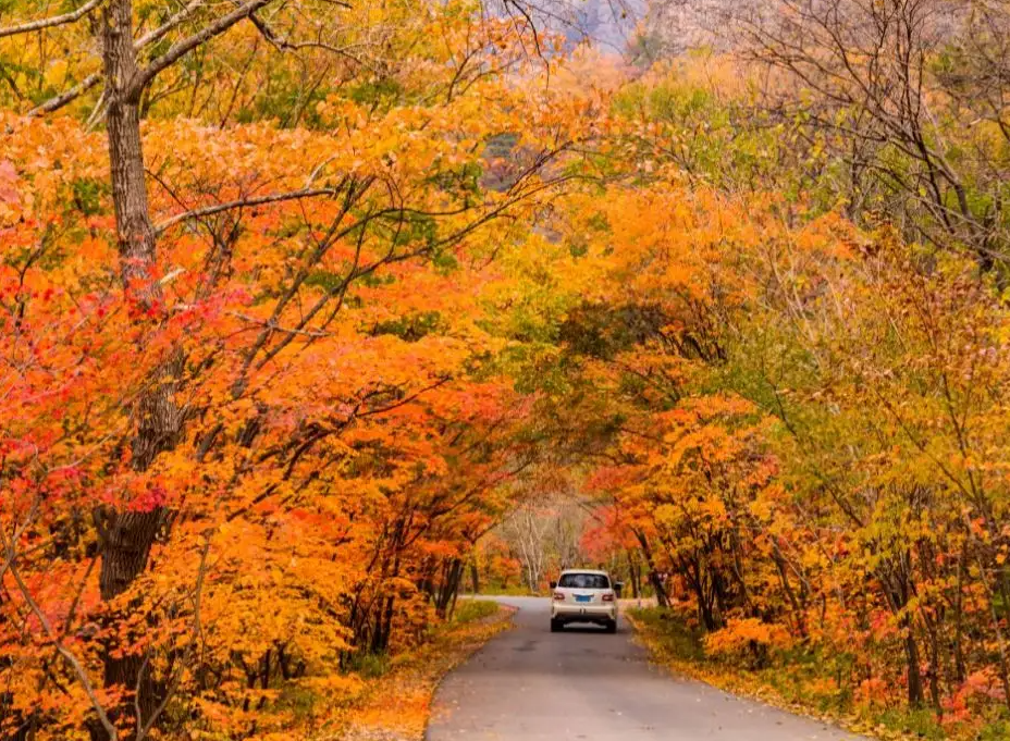 辽宁秋天自驾最美路线推荐