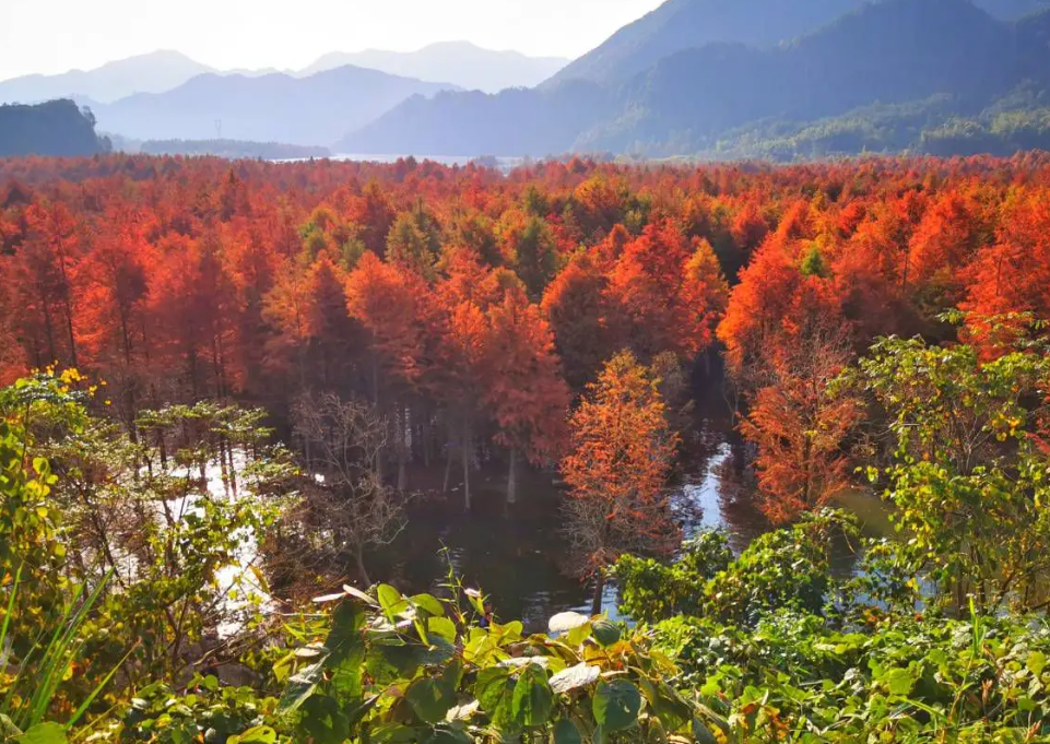 苏州周边自驾游推荐路线