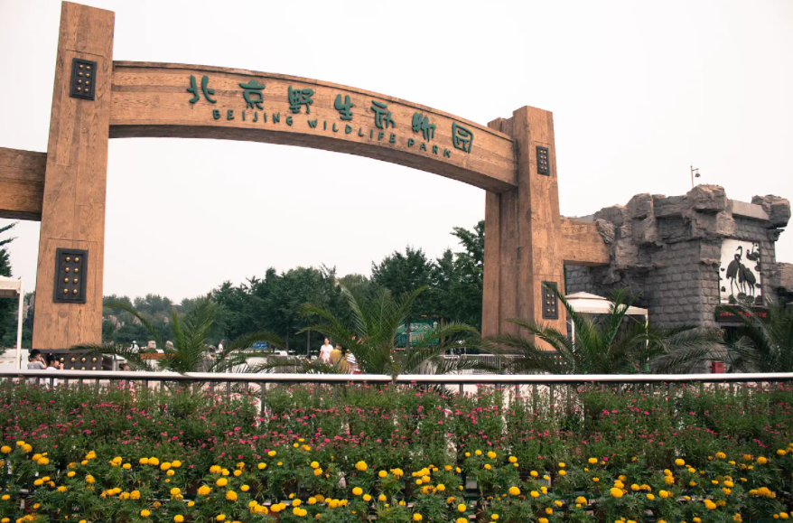 北京野生动物园自驾游玩攻略