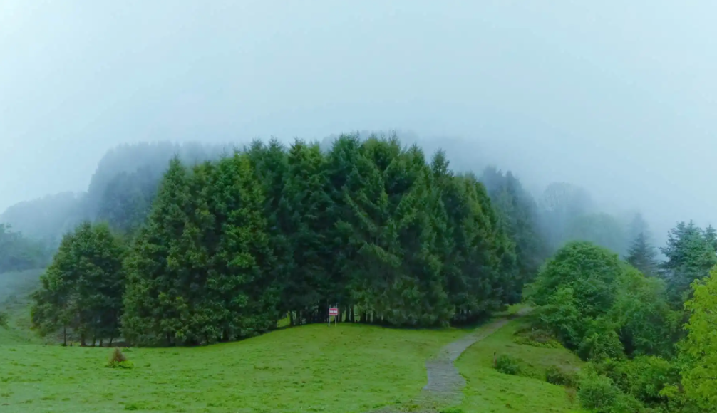 熊猫坪在哪里?熊猫坪好玩吗 熊猫坪在哪里?熊猫坪好玩吗