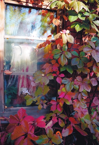 为一个秋 逛一座城