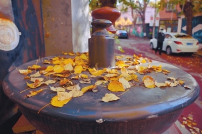 为一个秋 逛一座城