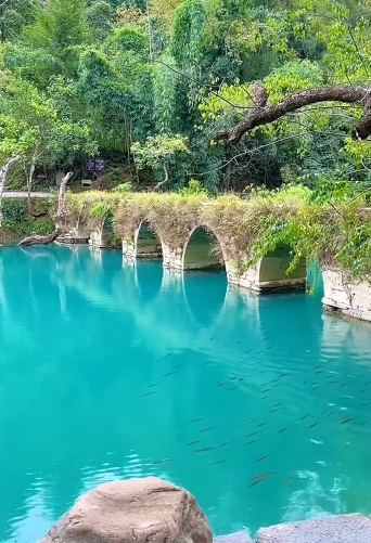 微信截图_20241009155014.png